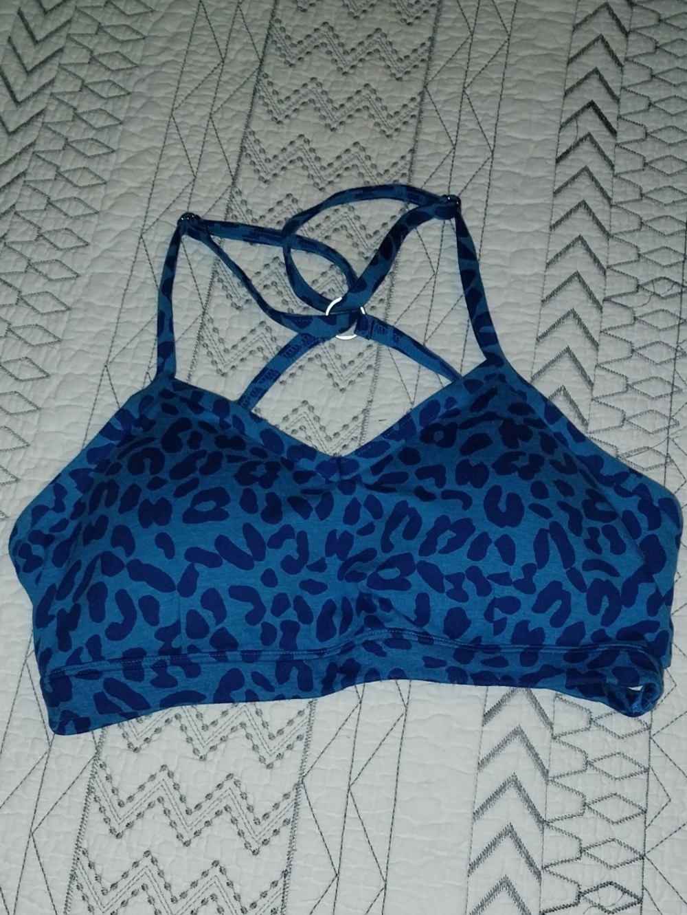 Bombshell Sportswear Pumped Sports Bra Blue Cheetah Large